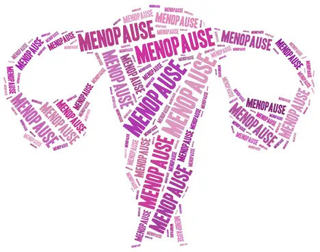 Nouvel article : Ménopause et périménopause