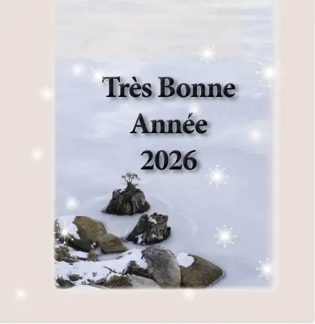 Très Bonne Année !